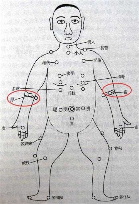 手臂上有痣|痣的位置透露出這些訊息！上手臂有痣不乏追求者、手。